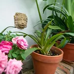 El Patio De Regina Apartment Cordoba