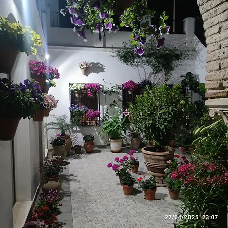 דירה El Patio De Regina *