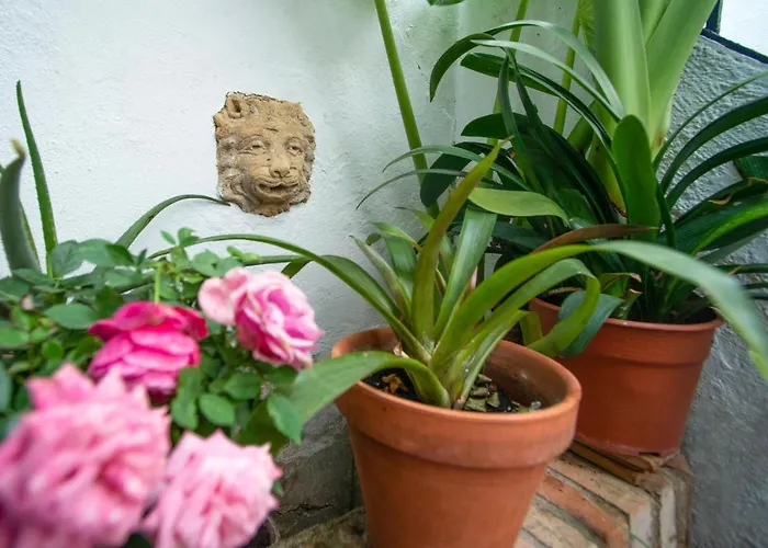 El Patio De Regina Apartmán Córdoba