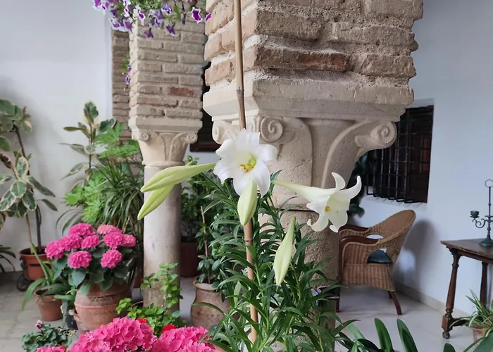 Apartmán El Patio De Regina