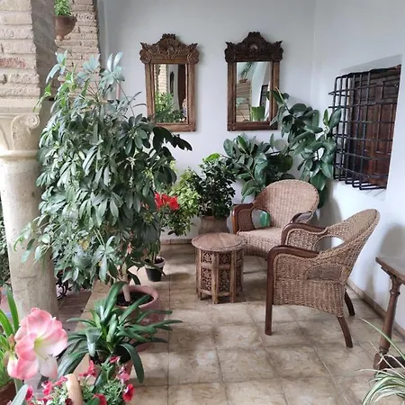 El Patio De Regina * Cordova