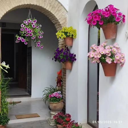 El Patio De Regina * Cordova