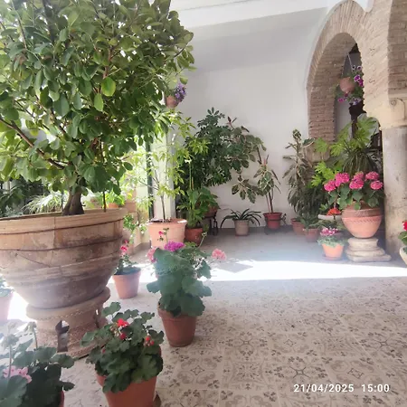 El Patio De Regina Appartamento *