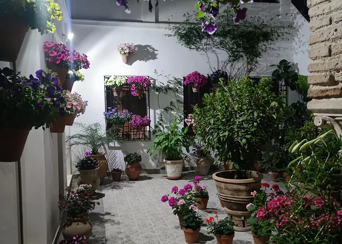 דירה El Patio De Regina *