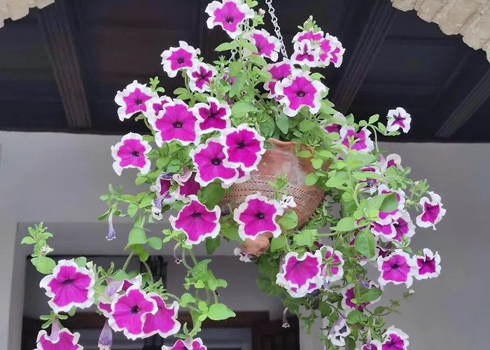 El Patio De Regina דירה קורדובה