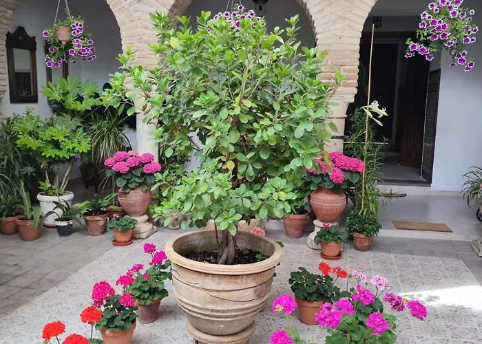 El Patio De Regina Cordoue