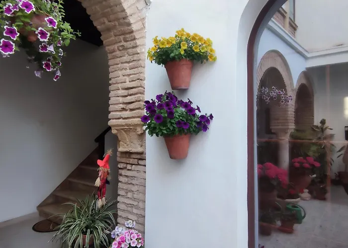 דירה El Patio De Regina קורדובה
