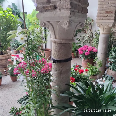 Apartament El Patio De Regina Kordoba