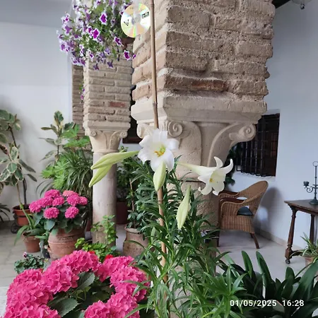 Apartament El Patio De Regina