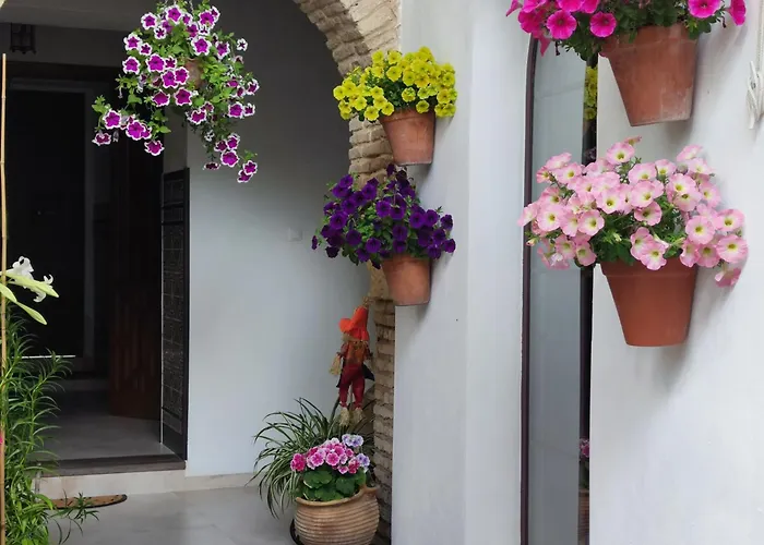 El Patio De Regina * Κόρδοβα