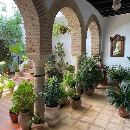 El Patio De Regina Apartment *