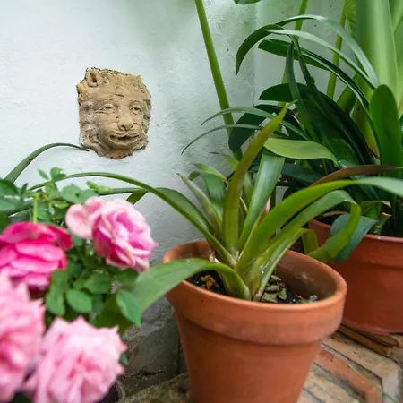 El Patio De Regina Apartment Cordoba