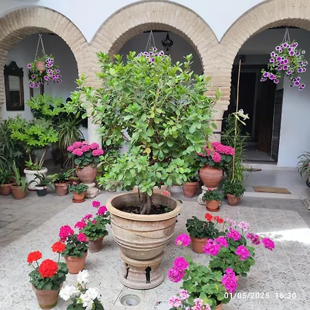 El Patio De Regina Cordoba