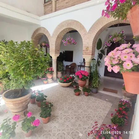 El Patio De Regina