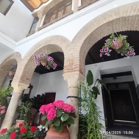 Апартаменти El Patio De Regina *